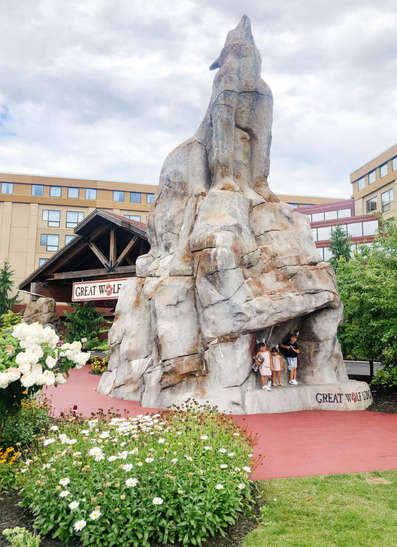 Top 8 tips for Staying at Great Wolf Lodge Fitchburg
