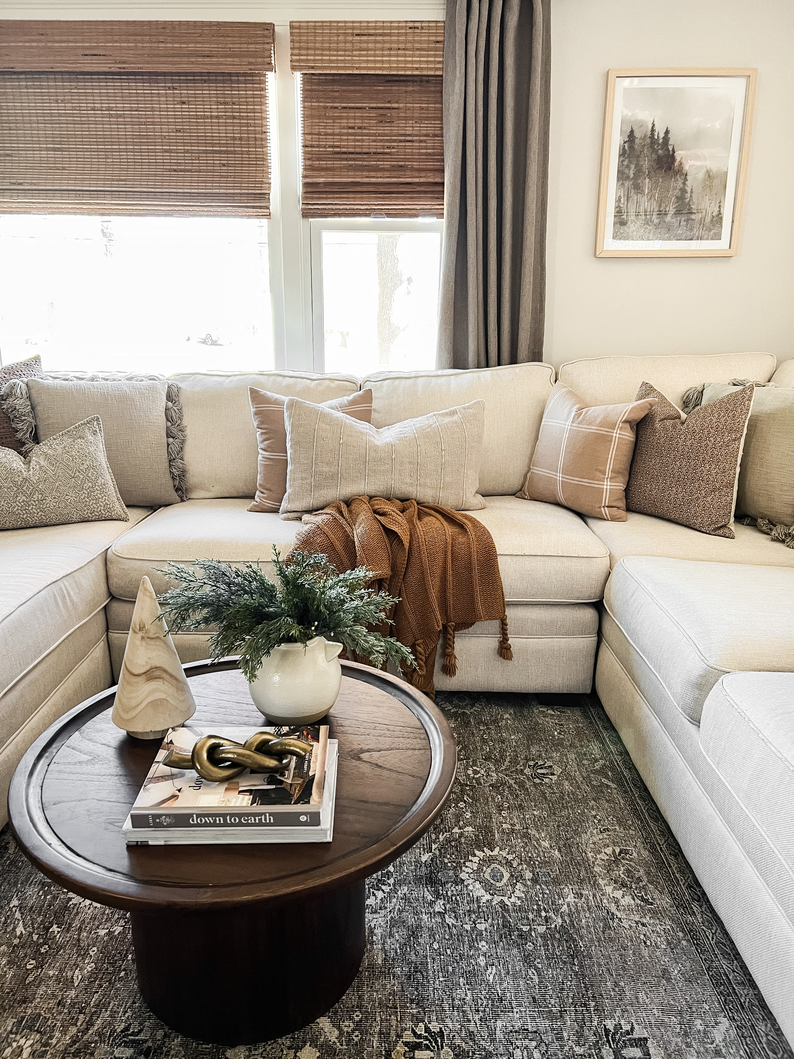 Winter Living Room Refresh with Safavieh
